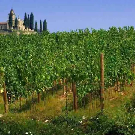 Let It Be Franciacorta * Gussago